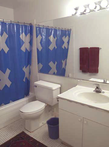 Unit 302 Bathroom and Kitchen, Manhattan Building, 431 S. Dearborn